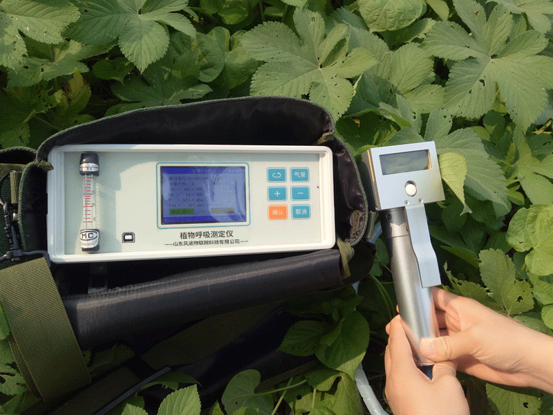 研究測(cè)定果蔬呼吸有什么應(yīng)用？